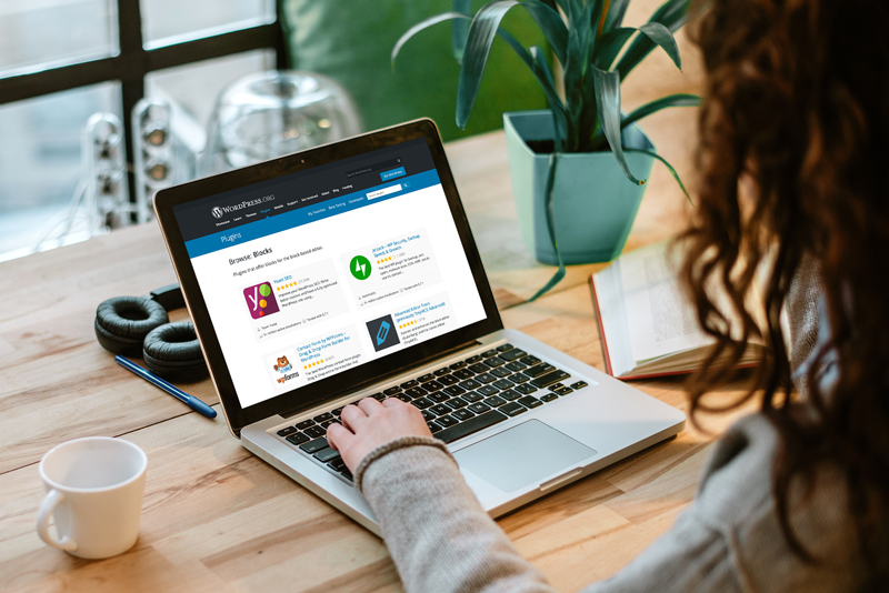 person on wordpress plugin page